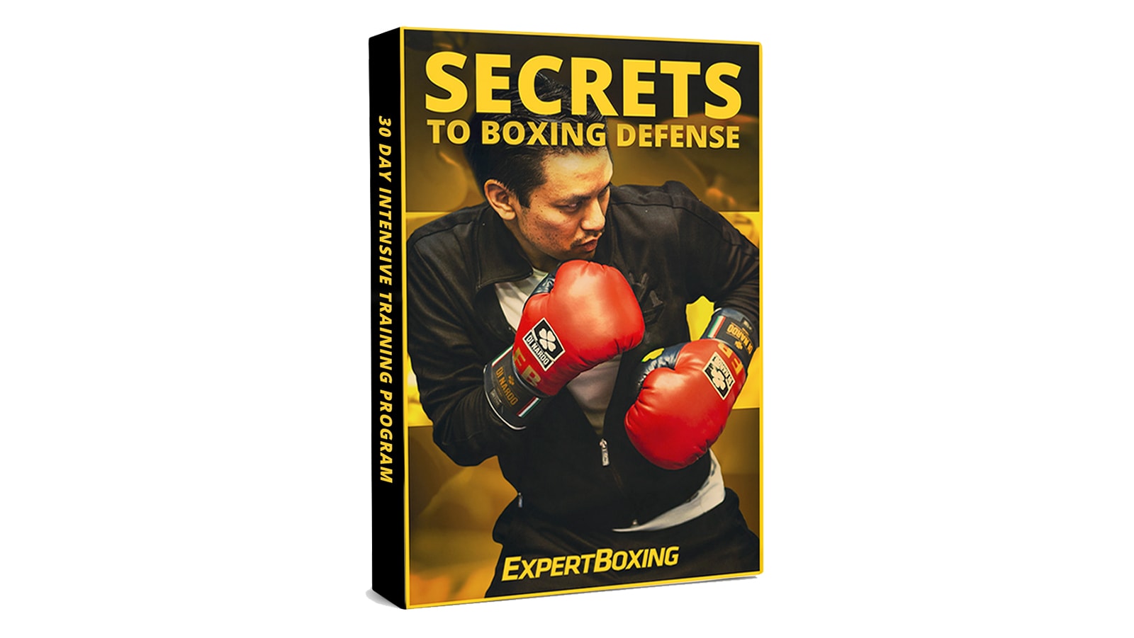 How to Box ExpertBoxing