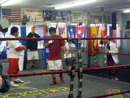 Wildcard Boxing Club