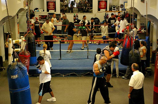 Hatton Boxing Maize Boxing Bag, Conditioning