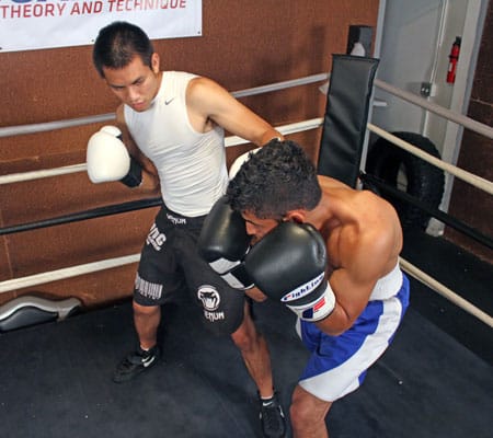 Setting up the left hook with jabs to the body : r/Boxing