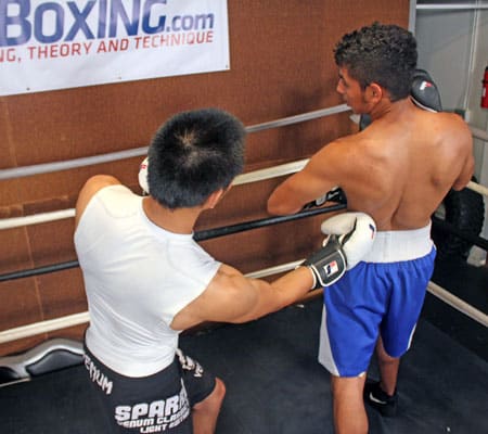 How to throw a Boxing Hook and Uppercut - RDX Sports Blog