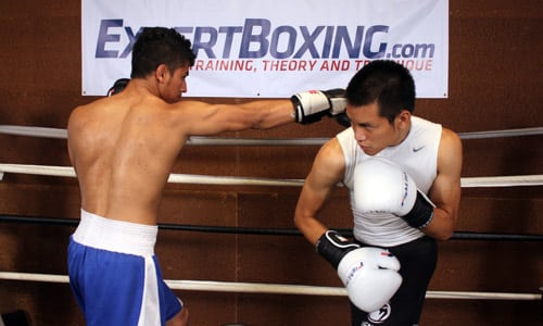 How to Hold Focus Pads for a Left Hook to the Body (14 of 32