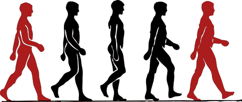 walking positions of body movement