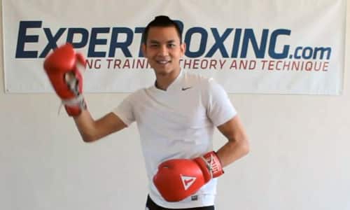 expertboxing.com