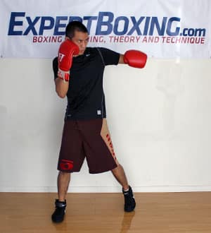 basic left hook