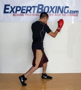 The BEGINNER’S Guide to Boxing