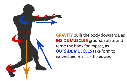 Why Lifting Weights Won’t Increase Punching Power – PART 2