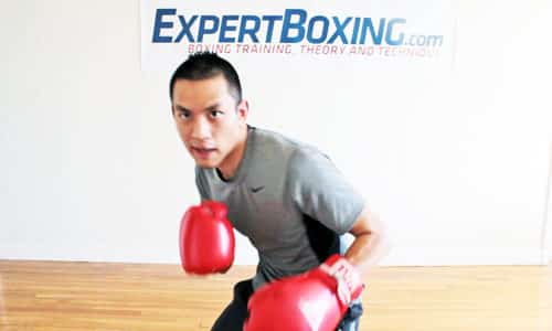 Boxing Head Movement