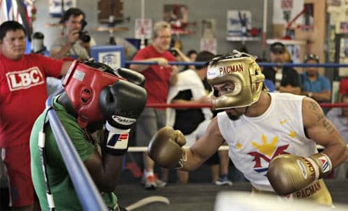 Pro Boxing Techniques