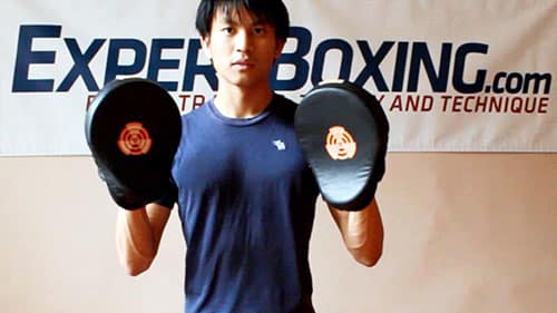 Boxing Focus Mitt Training