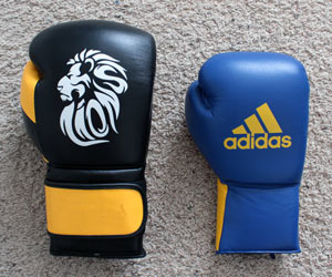 adidas boxing training gloves