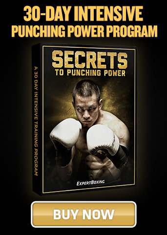 30-Day Intensive Punching Power Program