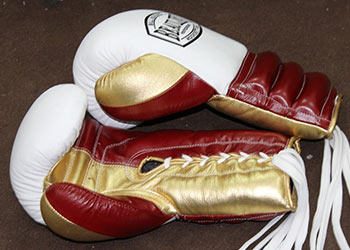 GRANT Boxing Gloves 8oz Lace-up type Floyd Mayweather Jr Model