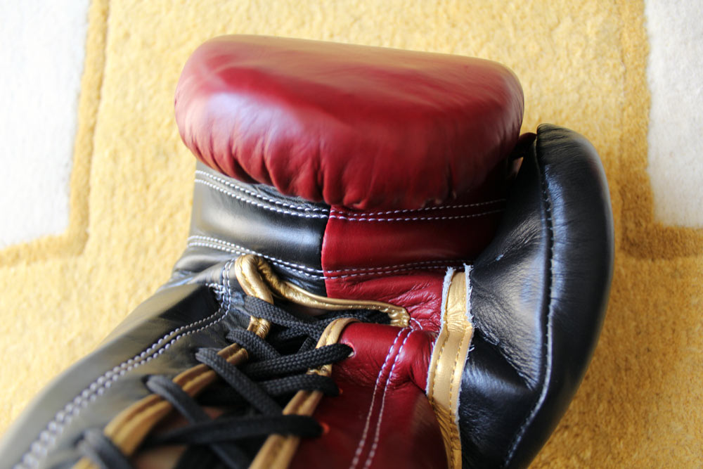 Sabas Boxing Gloves Review (UPDATED 2019)