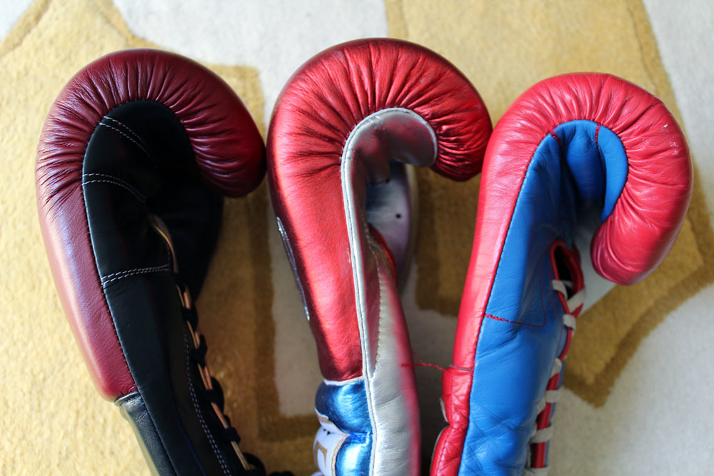 Sabas Boxing Gloves Review (UPDATED 2019)