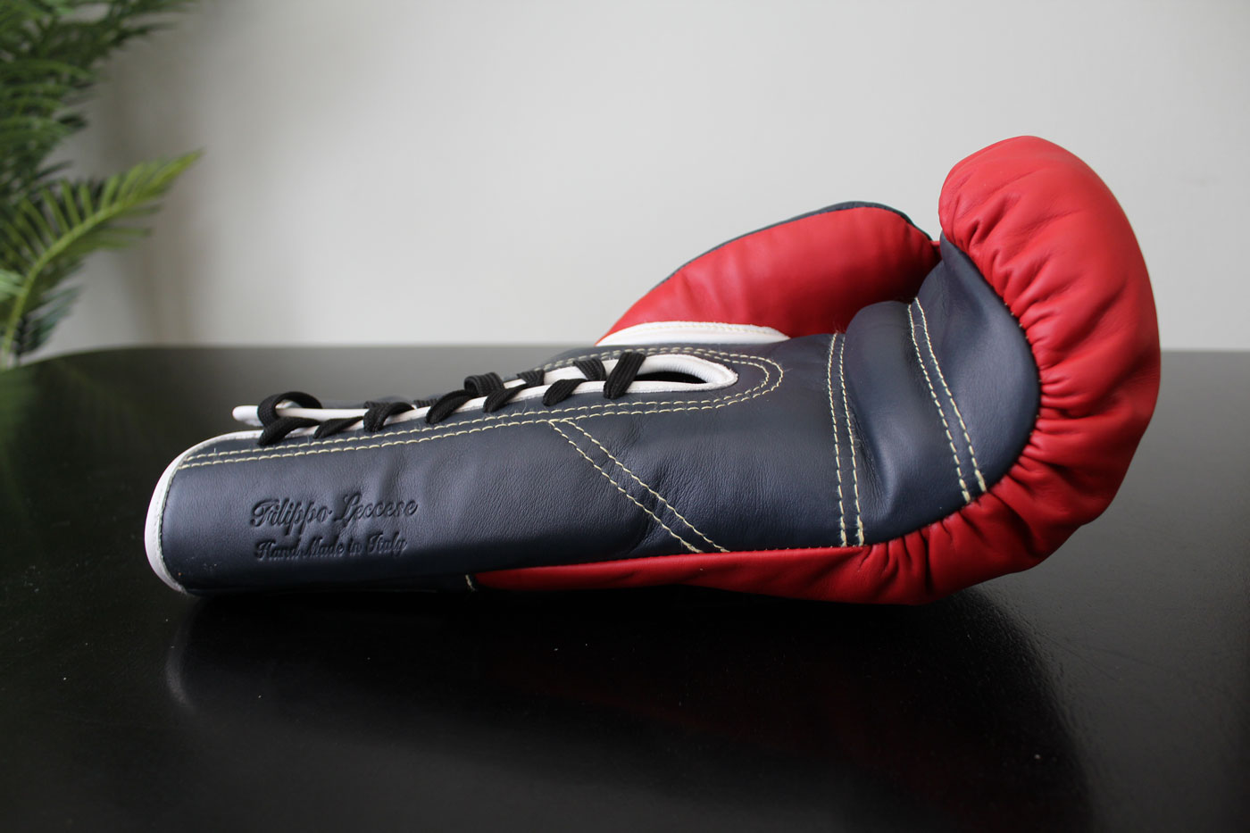Di Nardo Boxing Gloves Review