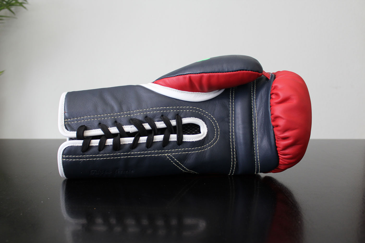 Di Nardo Boxing Gloves Review