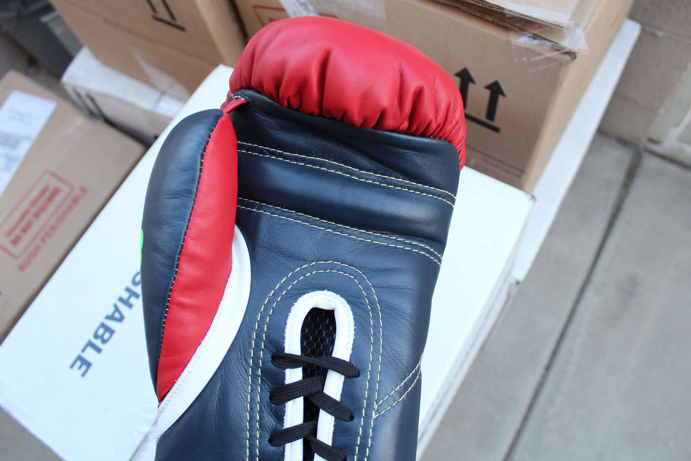 Di Nardo Boxing Gloves Review