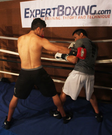 southpaw traps orthodox along the ropes