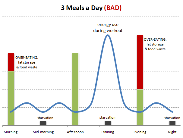 30 Day Fighters Diet Ebook