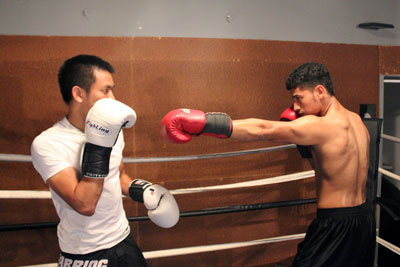 Cotto Left Hook To The Body Stops Foreman • East Side Boxing