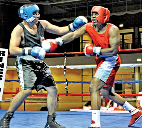 Listo para el boxeo amateur